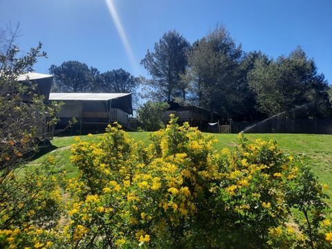 Vodatent Domaine La Sauzette - Aube