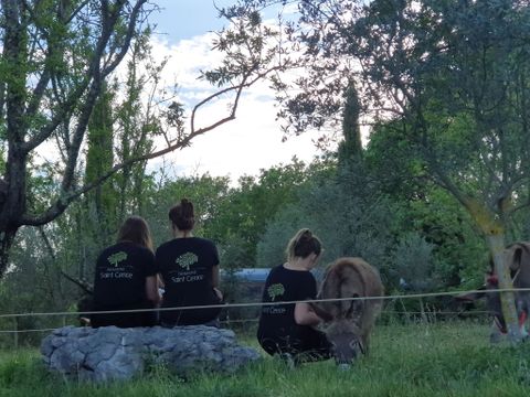 product_property.services