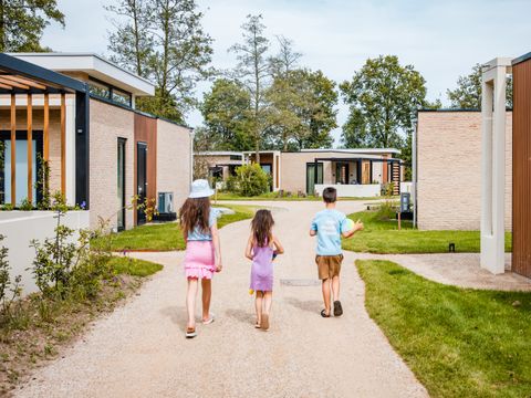 Camping het Beloofde Land - Barneveld - Afbeelding N°12