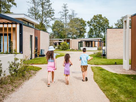 Camping het Beloofde Land - Barneveld - Afbeelding N°7