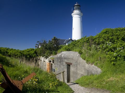 Landal Fyrklit - Noord-Jutland - Afbeelding N°18