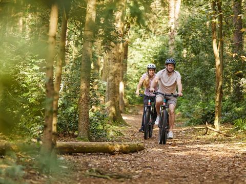 Landal Søhøjlandet - Jutland-Central