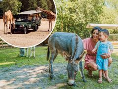 Vakantiepark Dierenbos - Camping Meierijstad - Afbeelding N°0