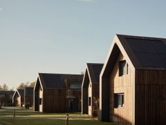 Brinckerduyn - Ooststellingwerf - Afbeelding N°0