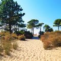 Camping Dolce Vita