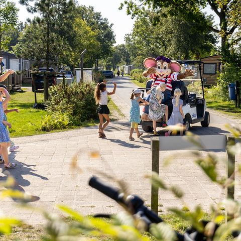 Siblu Camping Lauwersoog - Het Hogeland - Afbeelding N°2