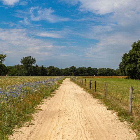 Camping de Kleine Wereld - Ommen - Afbeelding N°2