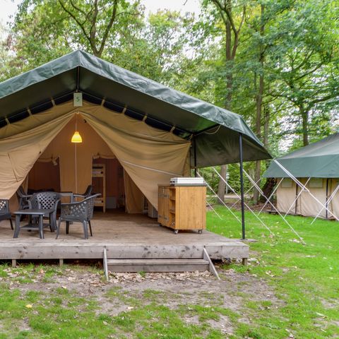 Safaritent 6 personen - Vakantiepark Herperduin - Safaritent 6 personen