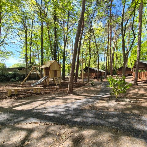 Safaritent 6 personen - Forest Lodge incl. sanitair