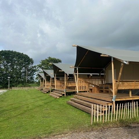 Safaritent 4 personen