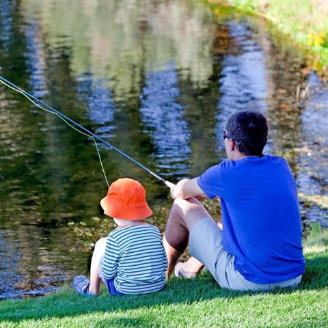 Camping Zavelbos - Camping Belgisch Limburg - Afbeelding N°5