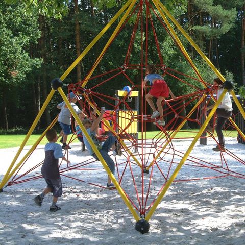 Camping Zavelbos - Camping Belgisch Limburg - Afbeelding N°3