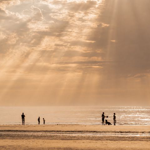 MarinaPark Residentie Bloemendaal - Bloemendaal - Afbeelding N°4