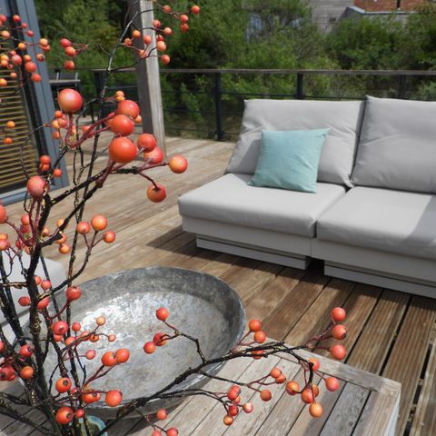 VAKANTIEHUIS 8 personen - Panorama Penthouse VIP