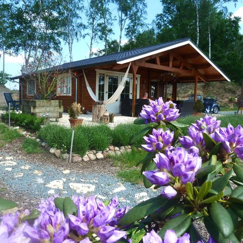 Chalet 4 personen - De Wilsumerberghut