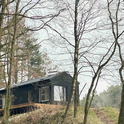 Chalet 4 personen - Koya Tiny Cabin met Buitenbad
