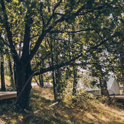 Accommodatie 2 personen - Airstream met hottub