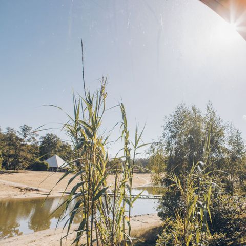 Lodge 6 personen - Lake View Scandi met Hottub & Sauna