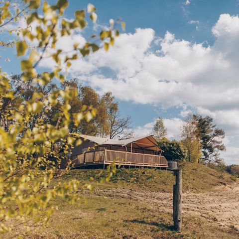 Lodge 6 personen - Glamfield Premium met hottub