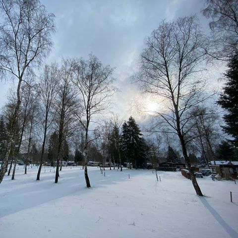 Bungalow 4 personen - Trekkershut