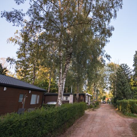 Bungalow 6 personen - Trekkershut Groot