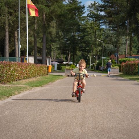 Arden Parks Tulderheyde - Antwerpen - Afbeelding N°4