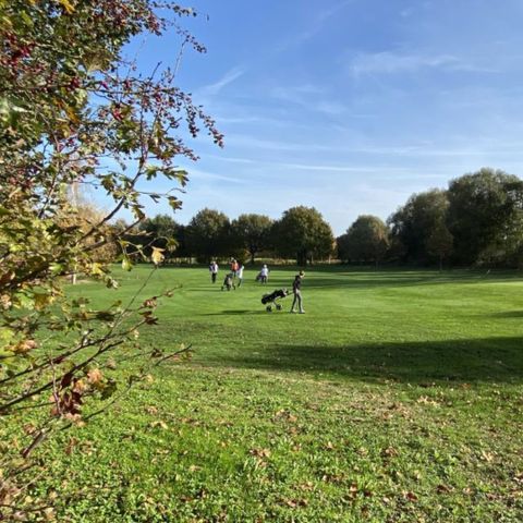 Villapark de Hondsrug - Camping Borger-Odoorn - Afbeelding N°6