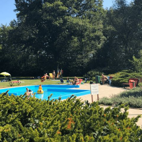 Villapark de Hondsrug - Camping Borger-Odoorn - Afbeelding N°5