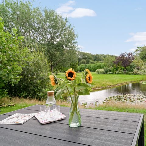 Drentse Vennen - Noordenveld - Afbeelding N°4