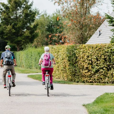 Drentse Vennen - Noordenveld - Afbeelding N°5