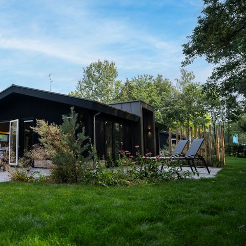 TopParken Resort de Brabantse Kempen - Reusel-De-Mierden - Afbeelding N°5