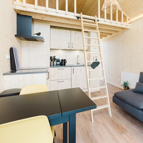 UNIEKE ACCOMMODATIE 4 personen - Stulp C23