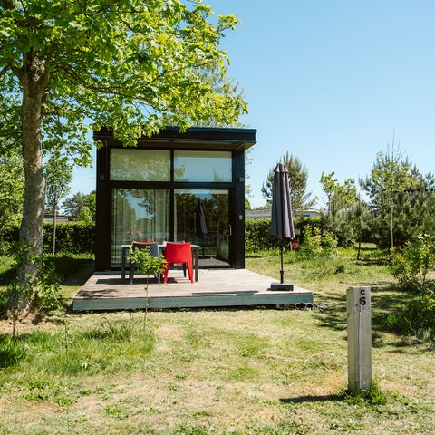 Tiny House 4 personen - De Hoagte C6