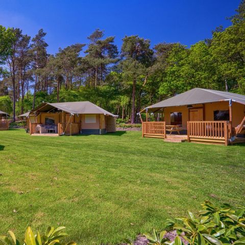 Safaritent 6 personen - incl. sanitair