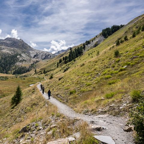 SOWELL - Marmotel & Spa - Alpes-de-Haute-Provence - Afbeelding N°3