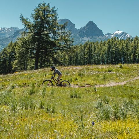 SOWELL - Marmotel & Spa - Alpes-de-Haute-Provence - Afbeelding N°2