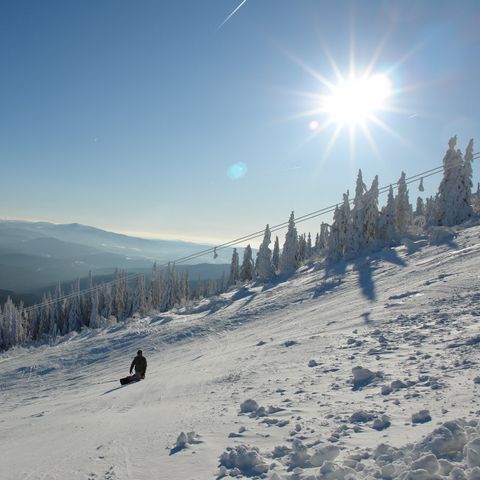 Landal Arber - Beieren - Afbeelding N°4