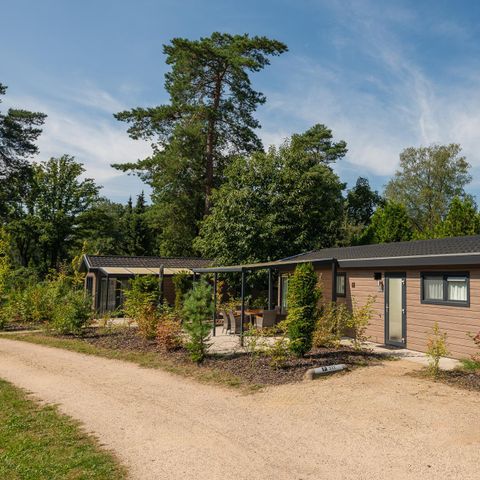 LODGE 5 personen - Veluwe