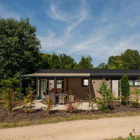 LODGE 5 personen - Veluwe
