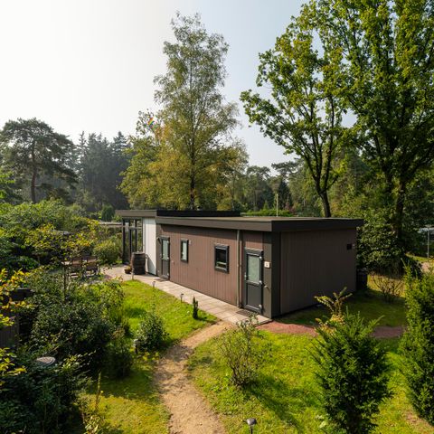 LODGE 6 personen - Heide