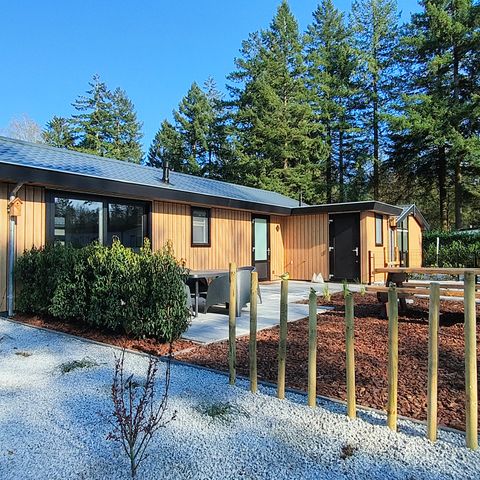 Chalet 4 personen - De Boshoek