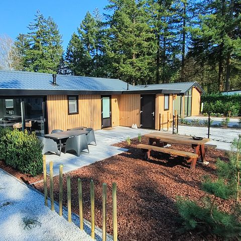 Chalet 4 personen - De Boshoek
