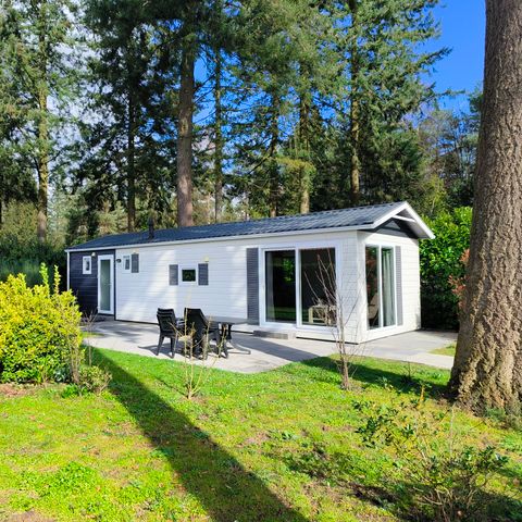 Recreatiepark De Reehorst - Bronckhorst - Afbeelding N°4