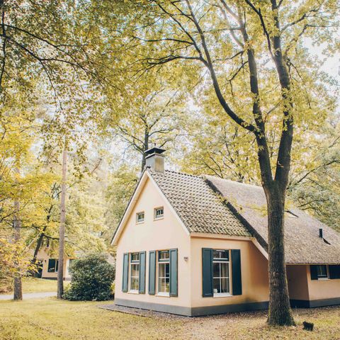 Bungalow 4 personen - Esdorp met Bedstee | 4+2 personen