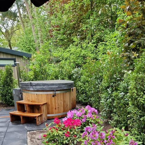 Chalet 4 personen - Dotterbloem met hottub