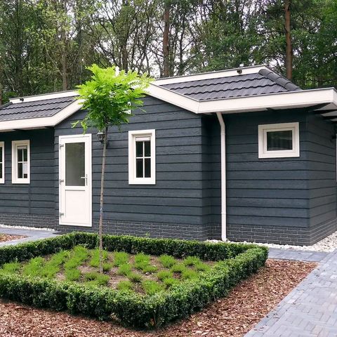 Chalet 6 personen - Dotterbloem met hottub