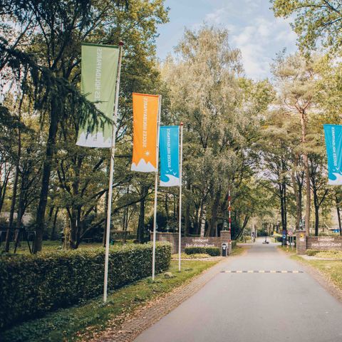 Landgoed Het Grote Zand - Midden-Drenthe - Afbeelding N°5