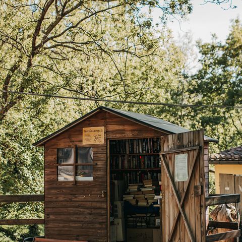 Vodatent Camping Lucherino - Grosseto - Afbeelding N°4