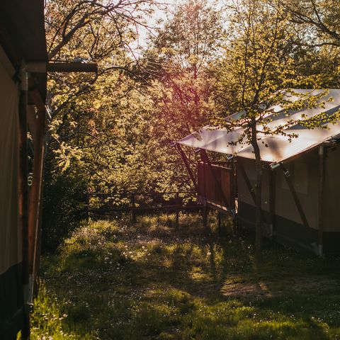 Safaritent 6 personen - (GARDEN)