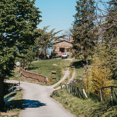 Vodatent Camping Lucherino - Grosseto - Afbeelding N°5